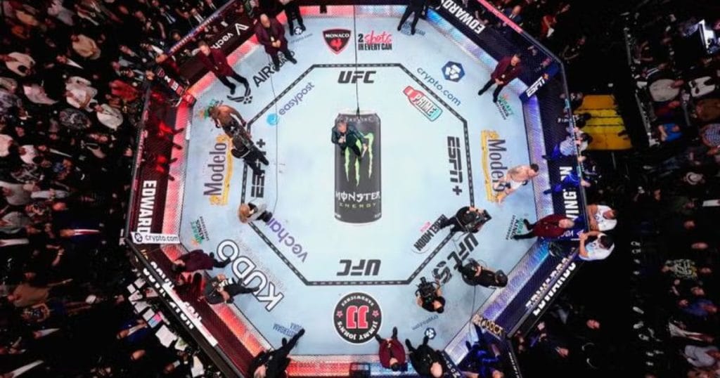 Les règles du MMA : tout comprendre avant de regarder un combat UFC